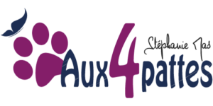 LOGO A4P BGWHITE256X512
