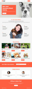 pet care 08 scaled